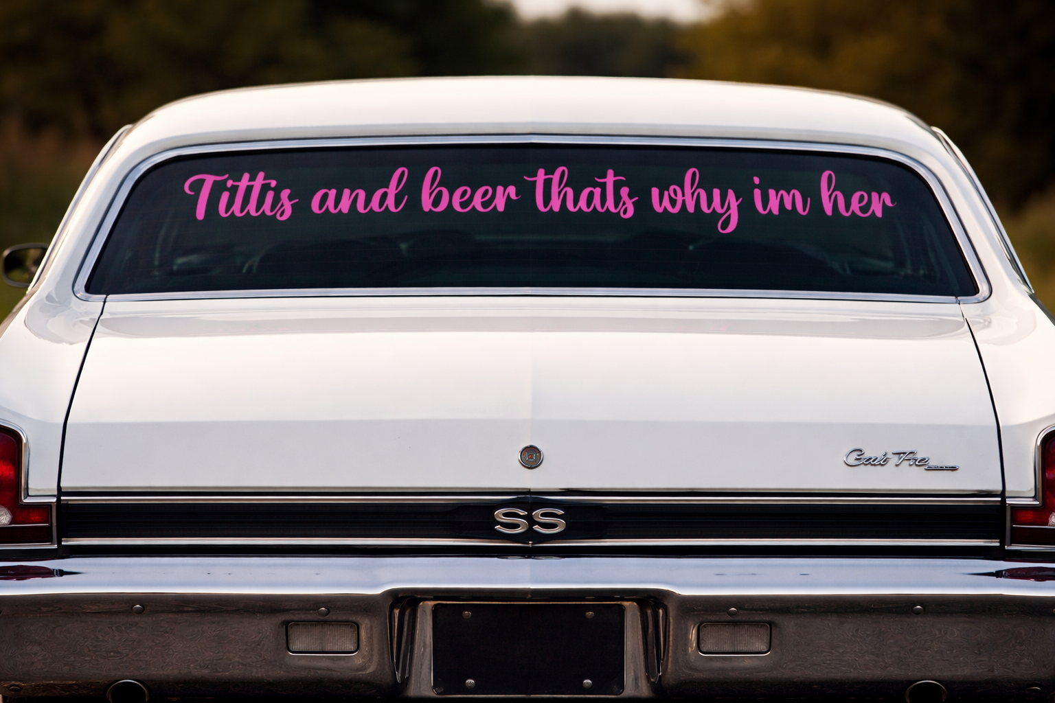 «tittis and beer» klistremerker
